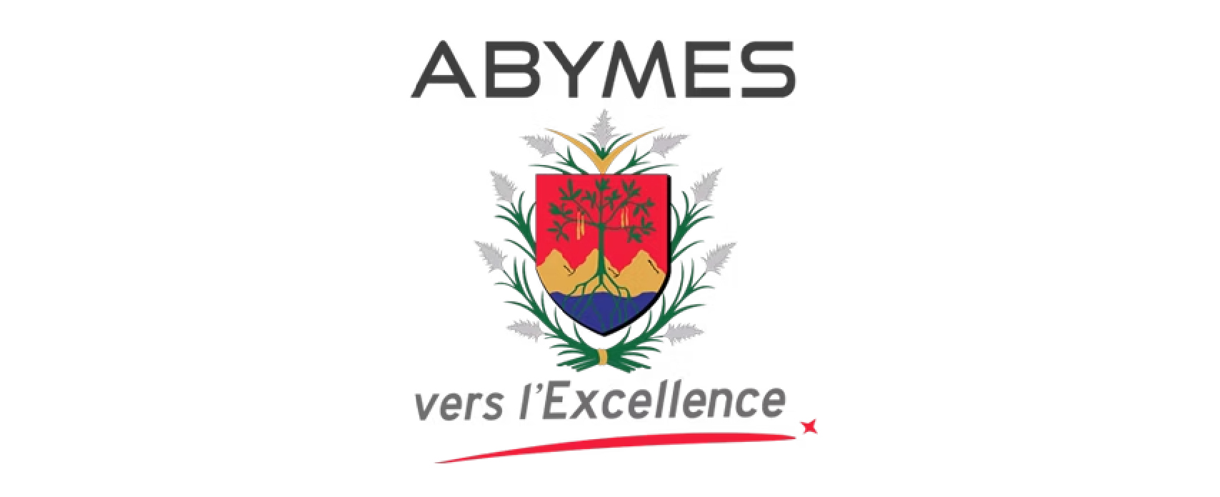 LOGO PARTENAIRES ©2025-73